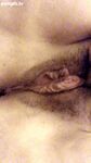 Hairy Wet Pussy With Meaty Lips - Stacy Levine Creampie Gif
