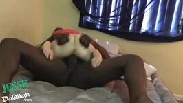 Bbc Cum Gif - Big Ass Blonde Reverse Cowgirl Gif