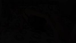 Woman In Leggings Being Ass Fucked Gifs - Lick Daddys Balls Porn Gifs - Bisexual Suck Gifnone More Black Gif