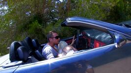 Yes Take It All In! Gif - Bbc Cock Rider Gif - Small Tits Gif Povwohoo Gif