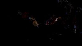 Road Head Gif - Butt Wiggle Gif Anime Girl - Eye Dick Suck Gif