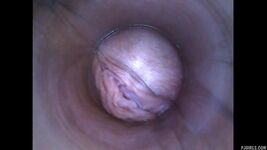Naked Busty Florida Gif - Black Nude Riding Gif - Pussy Quiver Oral Gif